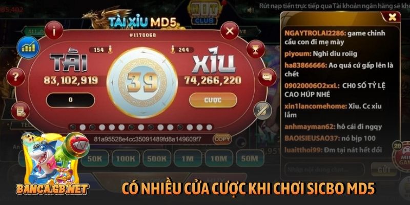 Tài xỉu MD5 là gì? Gợi ý cách chơi giúp tăng tỷ lệ thắng 2 Có nhiều cửa cược khi chơi sicbo MD5
