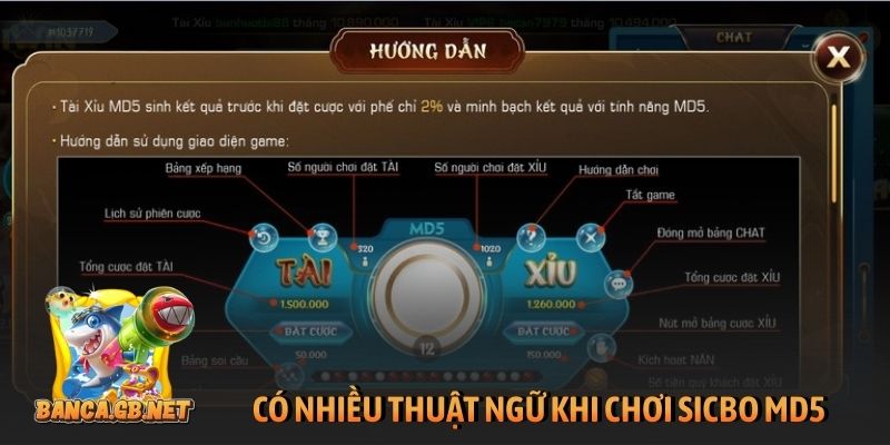 Tài xỉu MD5 là gì? Gợi ý cách chơi giúp tăng tỷ lệ thắng 3 Có nhiều thuật ngữ khi chơi sicbo MD5