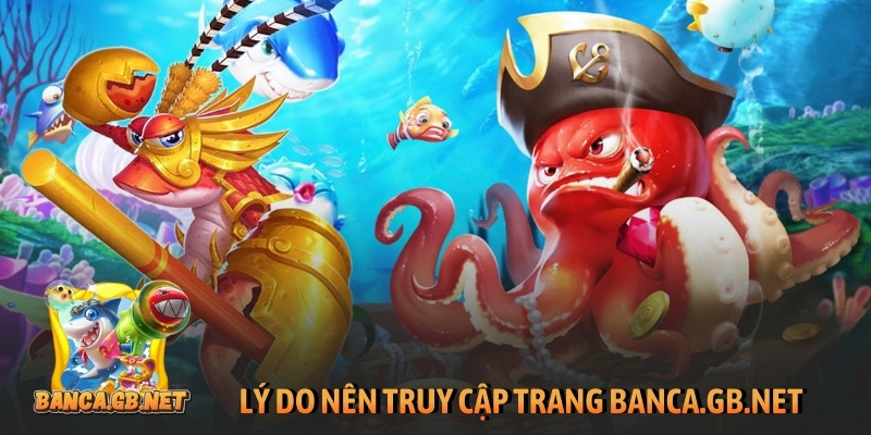 Lý do nên truy cập trang regentec.net